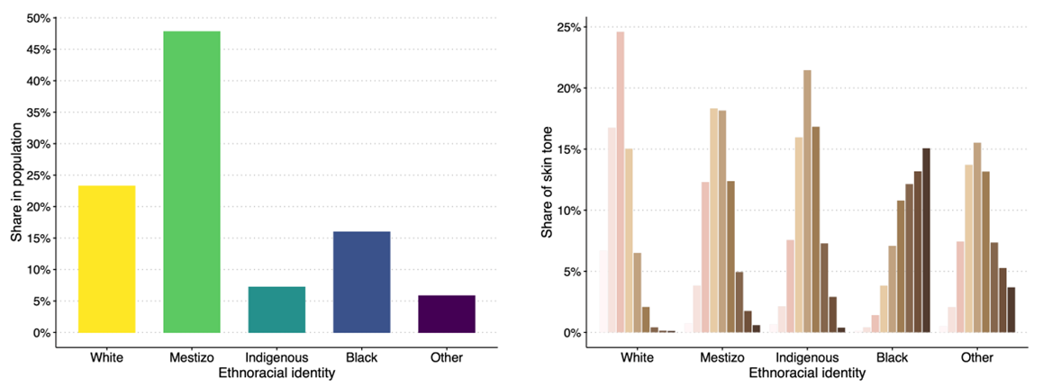 Ethnoracial categories and skin tone in Latin America