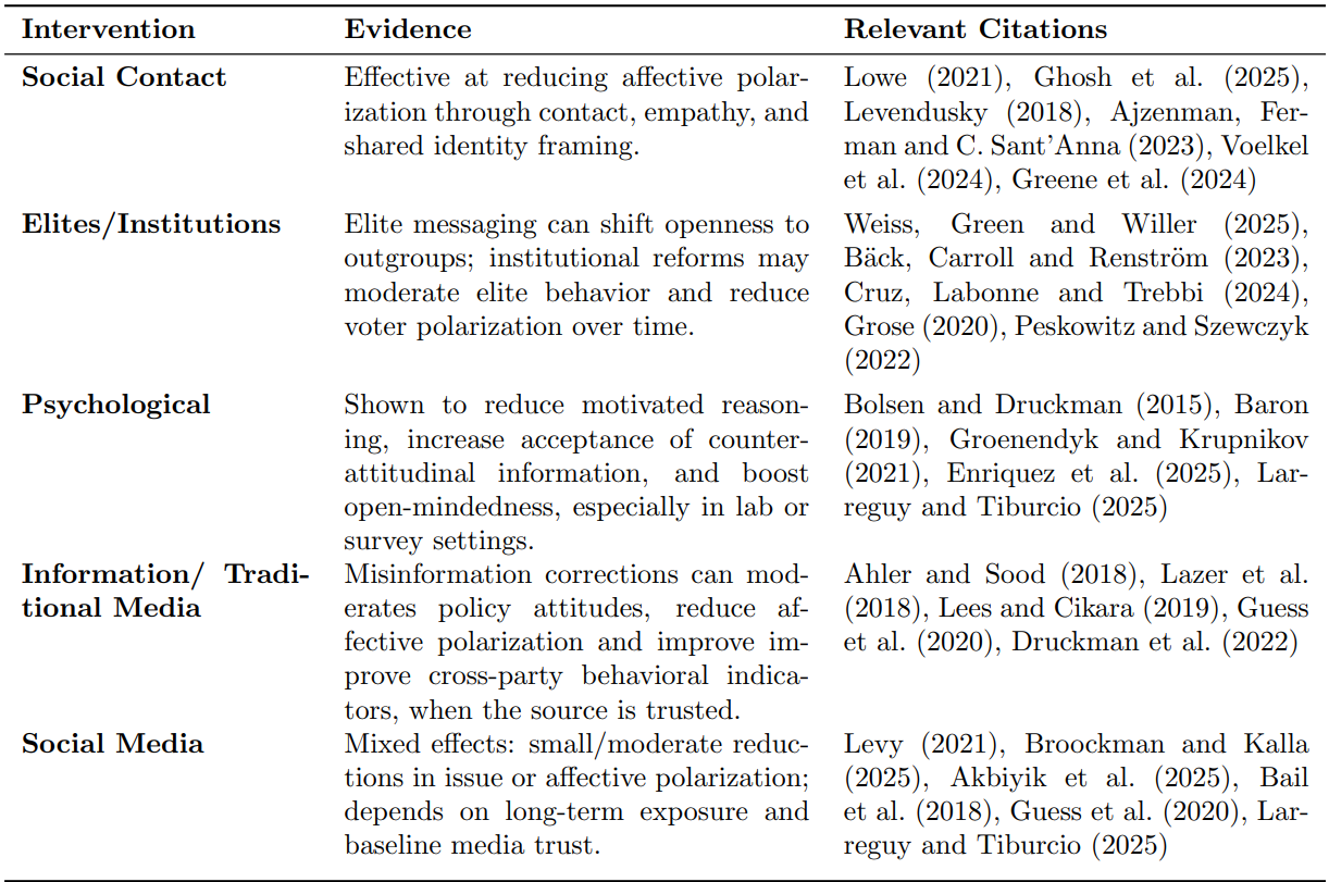 Summary of Polarisation Interventions