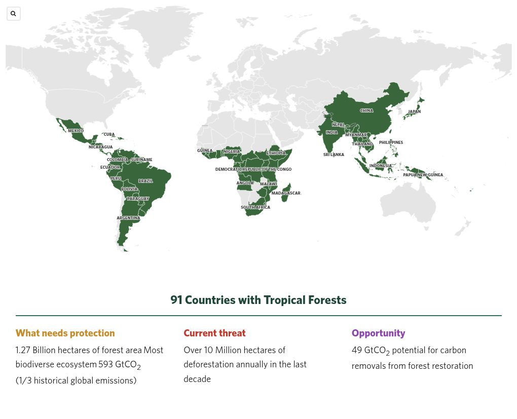 The scale of the forest agenda