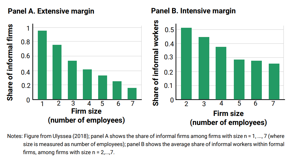 facts about firms in the formal sector