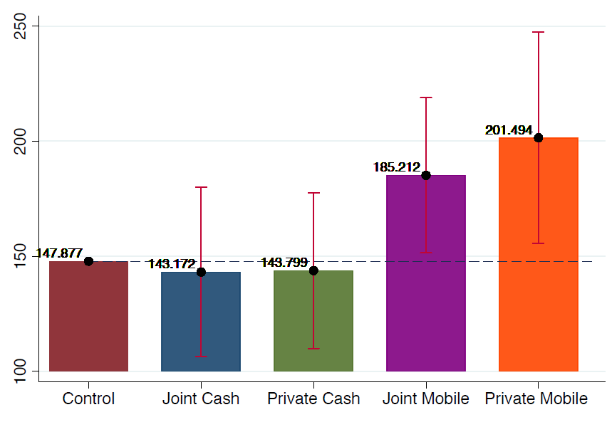Personal earning from activities done by the women herself