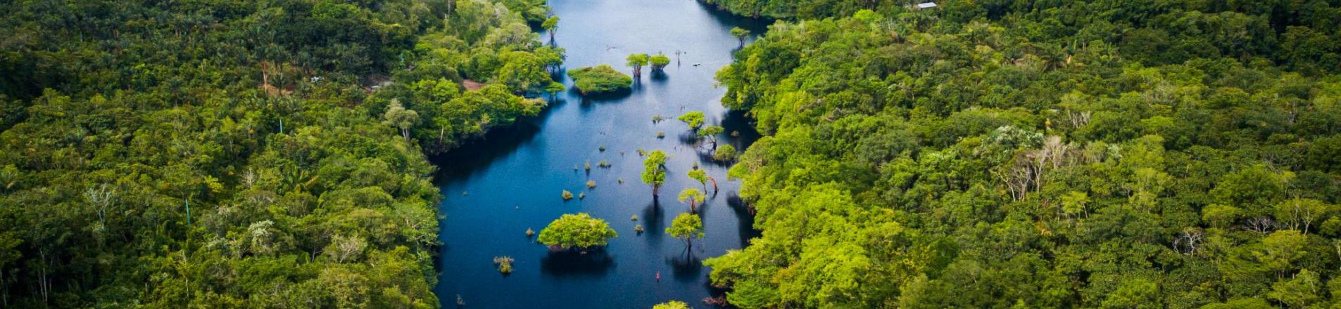 Amazon rivers