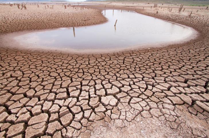 climate adaptation