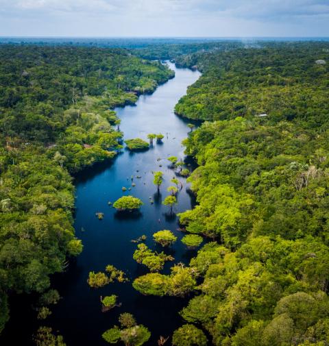 Amazon rivers