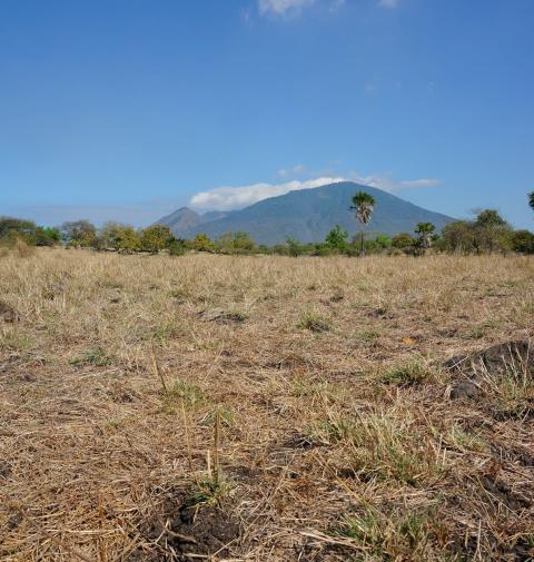 benin land