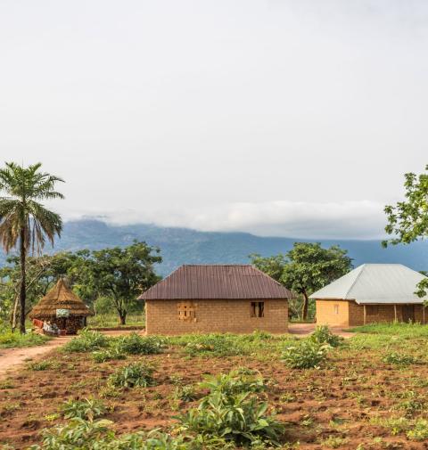 farm in Africa