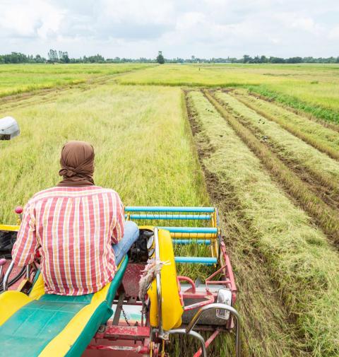 farm in Africa