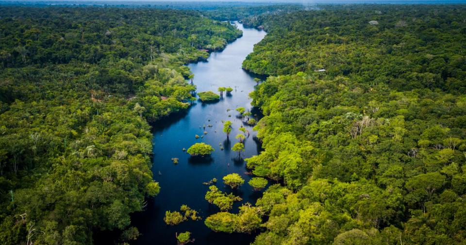 Amazon rivers