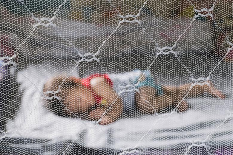 mosquito net