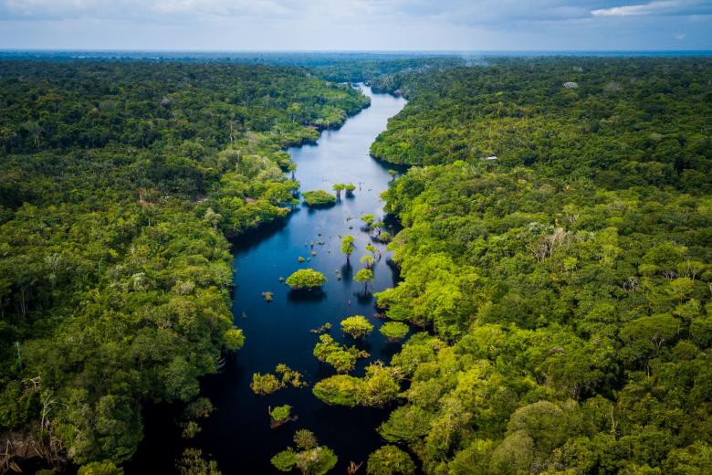 Amazon rivers