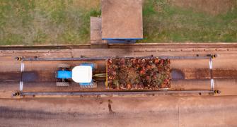 agriculture in Ghana