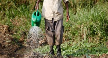 Microfinance in Uganda