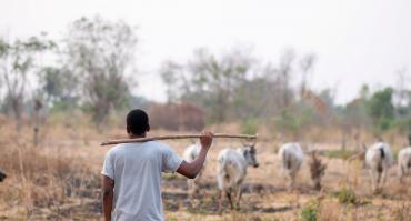 Herder in Nigeria
