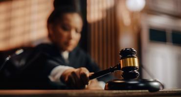 Judge