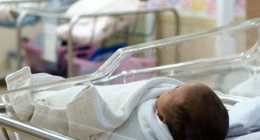 newborn