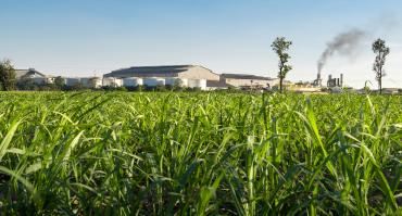 field with factory