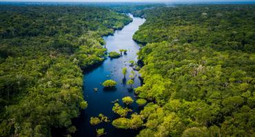 Amazon rivers