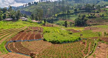 fertilizers 