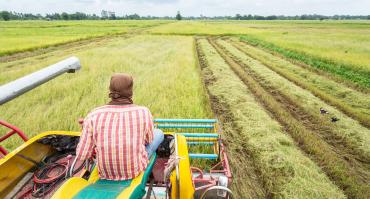 farm in Africa