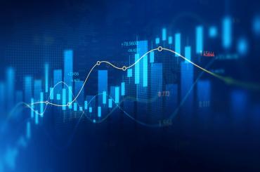 Investment networks