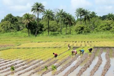 farmers