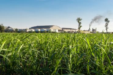 field with factory